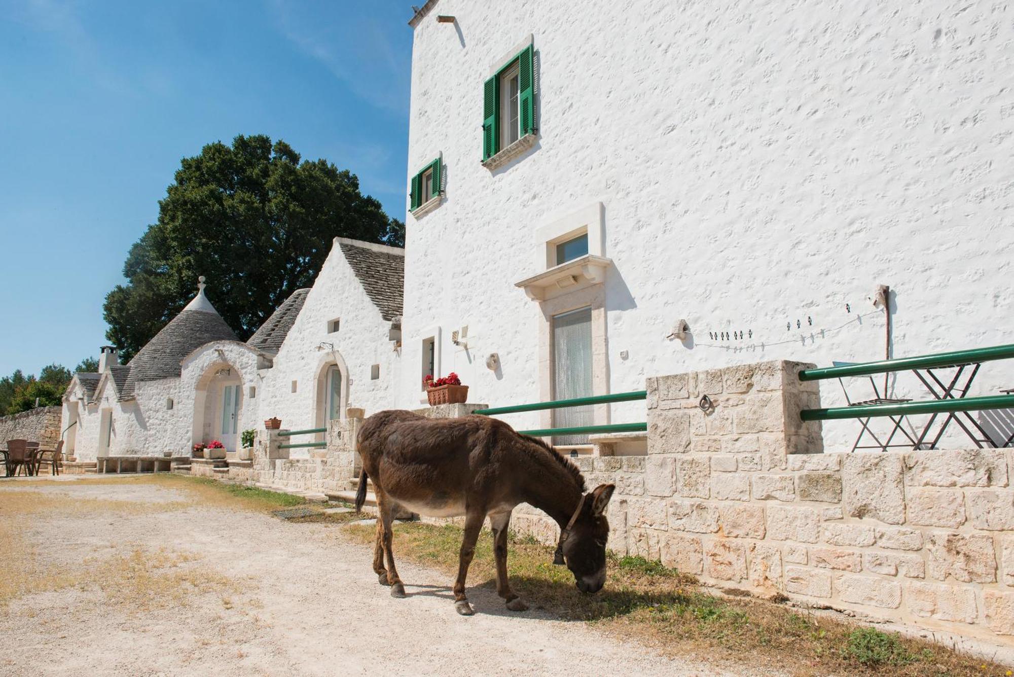 Agriturismo Masseria Aprile โลโกโรตอนโด ภายนอก รูปภาพ